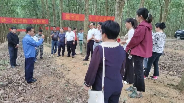 天下割胶冠军张健给各单位学员做标准化胶园建设及割胶手艺的履历介绍。。.jpg